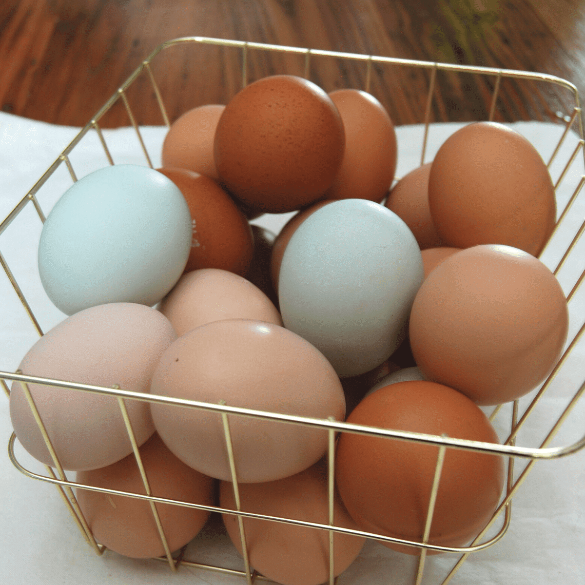 close up of backyard chicken eggs in a basket