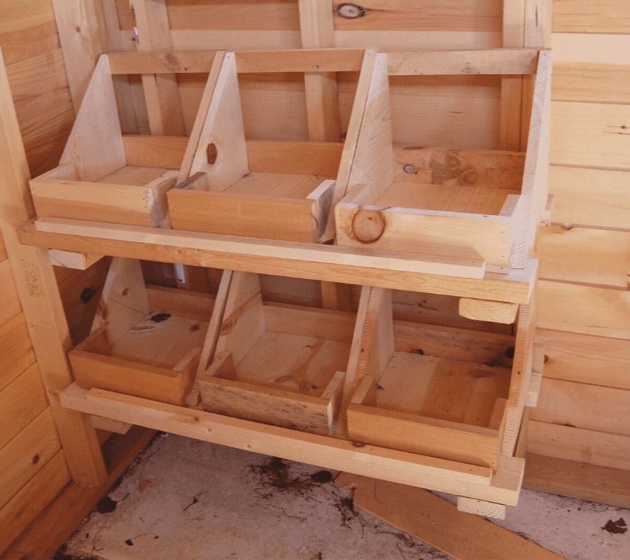 wooden nesting boxes in a  backyard chicken coop
