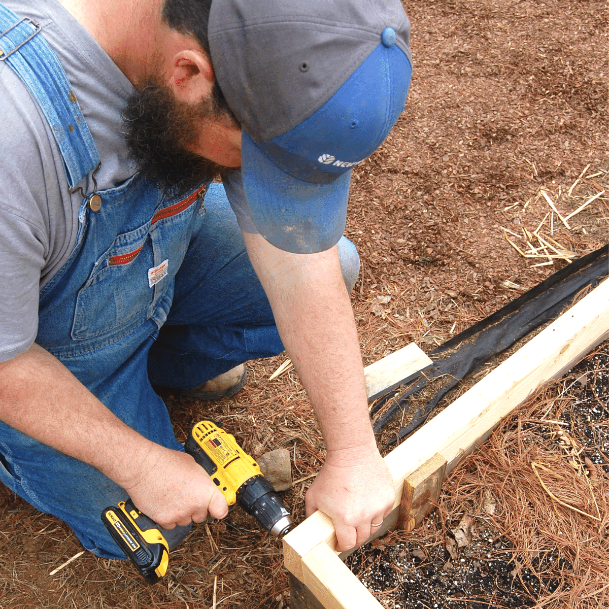 man using cordless drill to attach new boards to raised bed