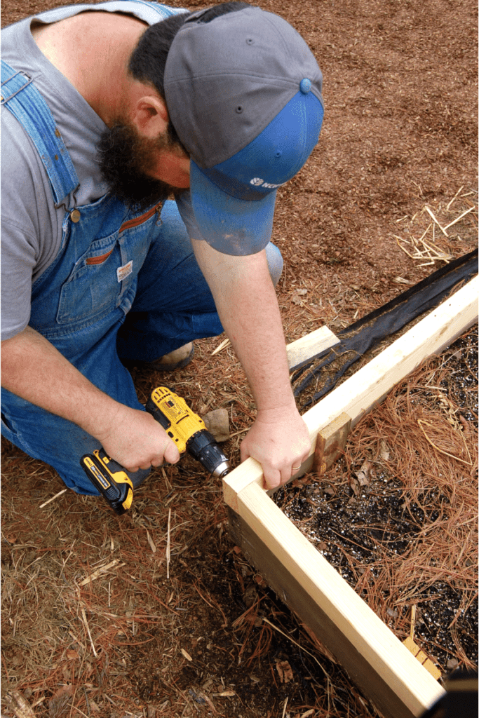 man using a cordless drill to secure corners of a raised bed