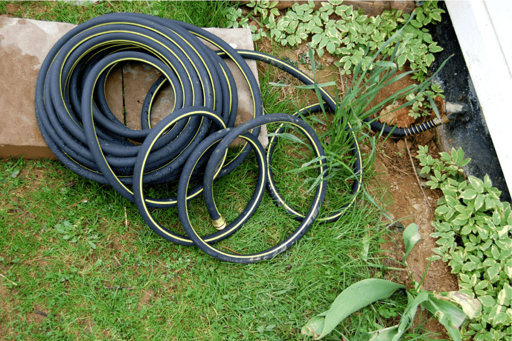 water hose laying in the grass