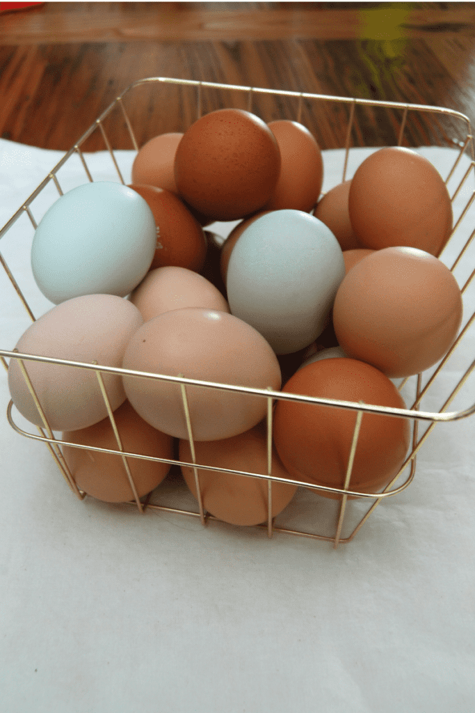 close up of backyard chicken eggs in a wire basket on the table