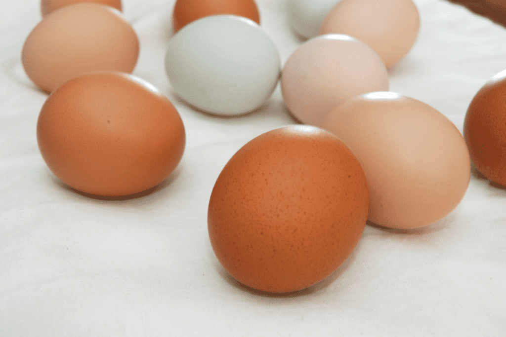 close up of backyard chicken eggs