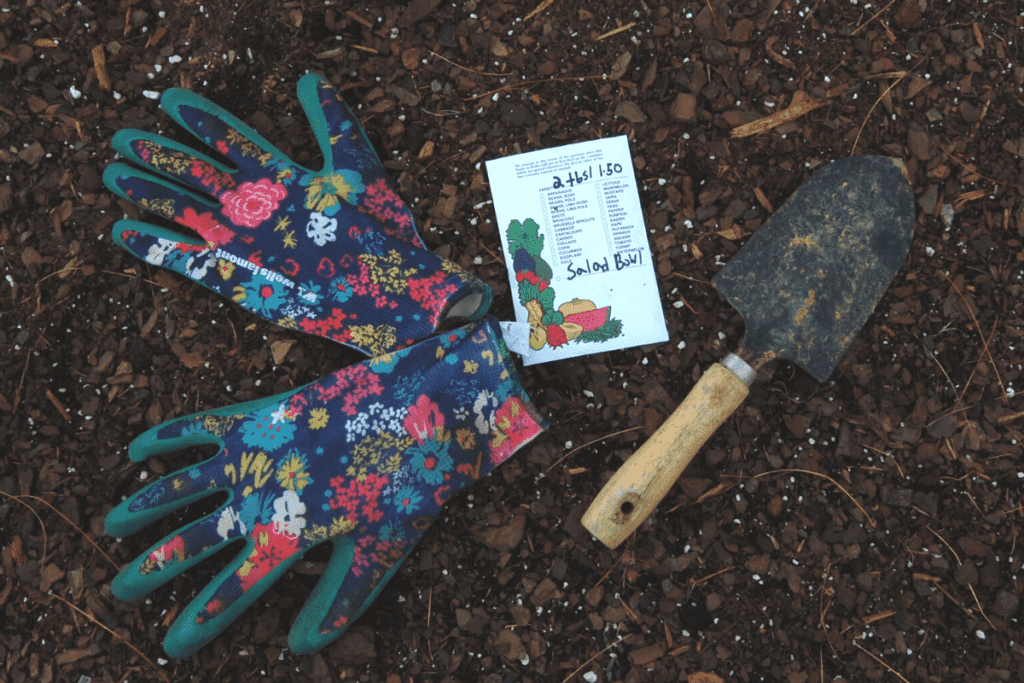 closed up of packet of lettuce seeds with gardening gloves and trowel in the dirt