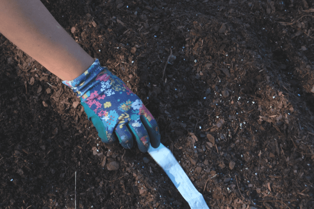 gloved hand placing radish seed tape in furrow