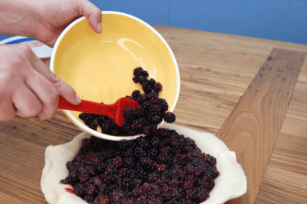 close up of hands using a spatula to add fresh blackberries on top of mixed blackberries