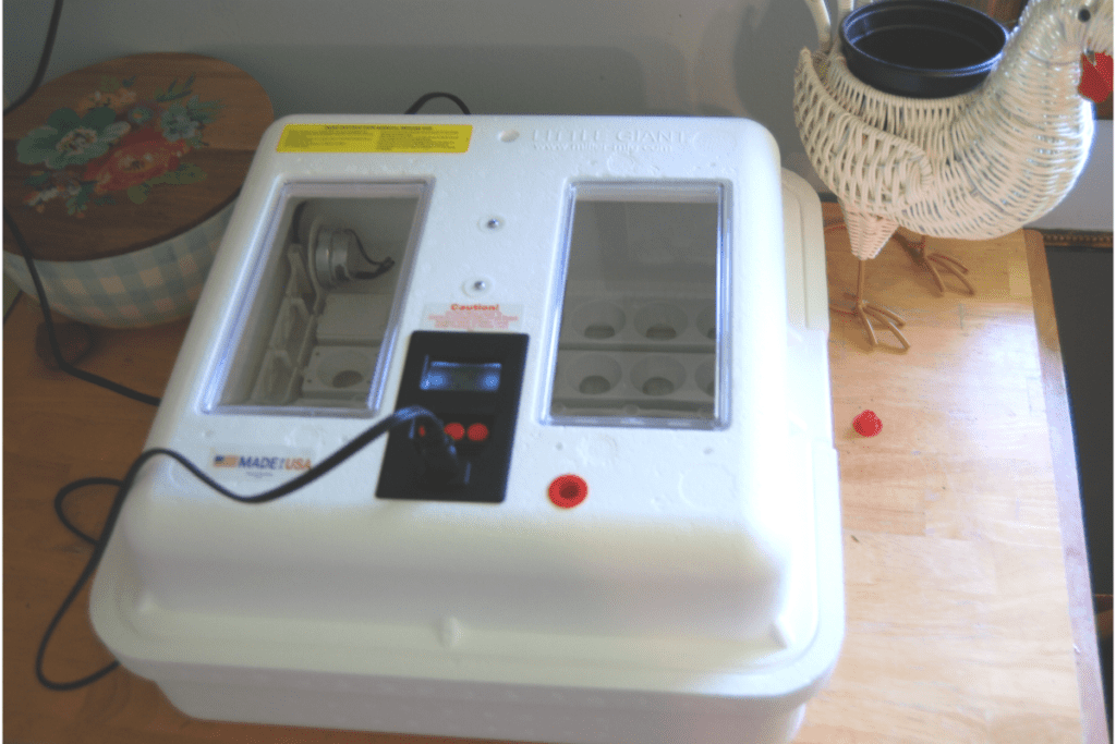 close up of incubator for hatching eggs